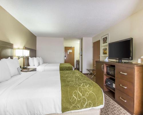 Comfort Suites at Tucson Mall - image 5