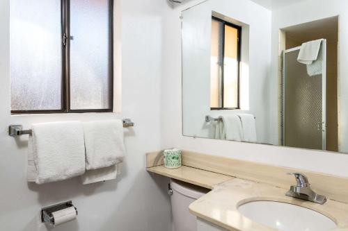 Econo Lodge University - image 5