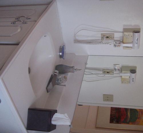 Mon Ami Bed and Breakfast - image 2