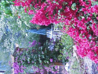 Mon Ami Bed and Breakfast - image 4