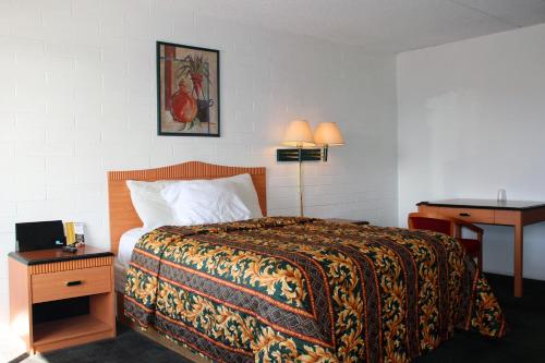 Amazon Motel - image 3