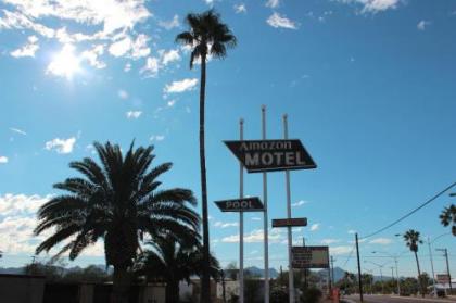 Amazon Motel - image 5