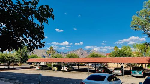 Casas Adobes condo - image 2
