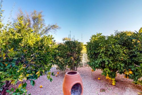 Tucson National #2428 - image 4