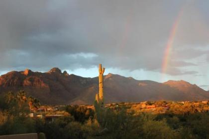 Catalina Foothills - image 4