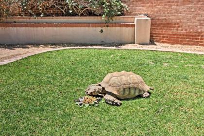 Pet-Friendly Tucson Casita Shared Hot Tub and Porch - image 4
