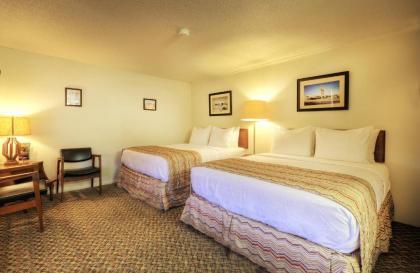 Roadrunner Lodge Motel - image 11