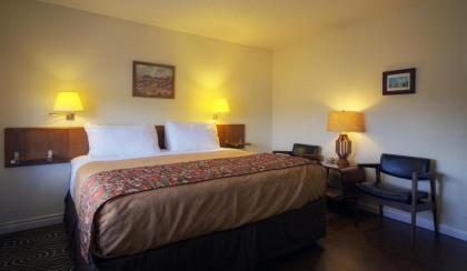 Roadrunner Lodge Motel - image 15