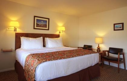 Roadrunner Lodge Motel - image 6