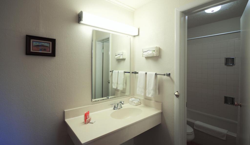 Roadrunner Lodge Motel - image 7