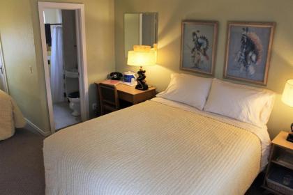 Blue Swallow Motel - image 10