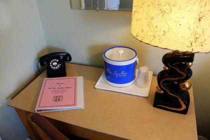 Blue Swallow Motel - image 11