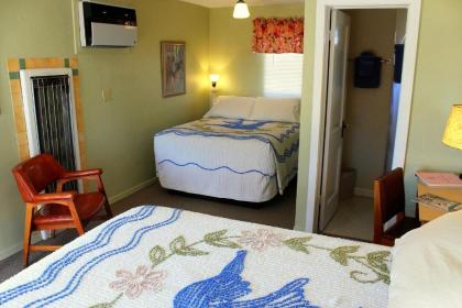 Blue Swallow Motel - image 12