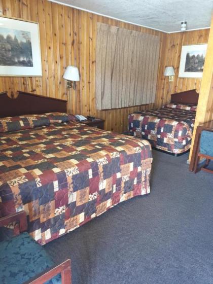 Americana Motel - image 2