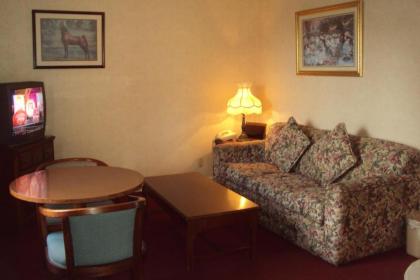 Executive Inn - image 14