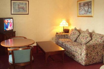 Executive Inn - image 15