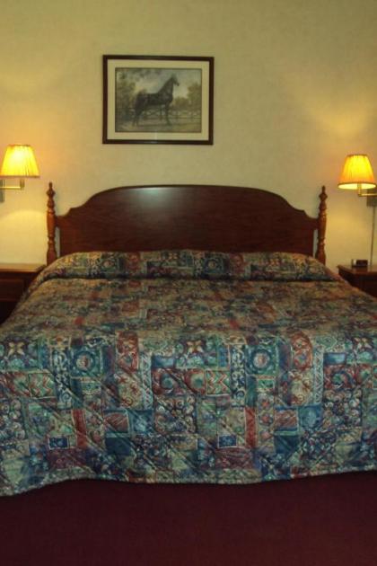 Executive Inn - image 4