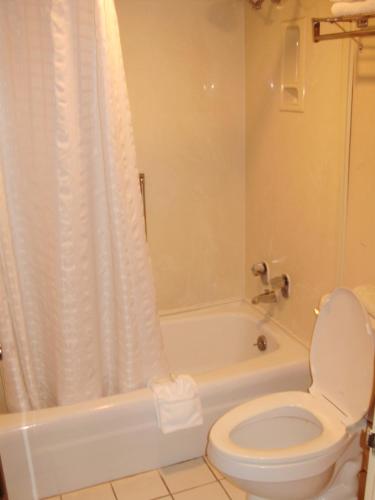 Trade Winds Central Inn - image 3