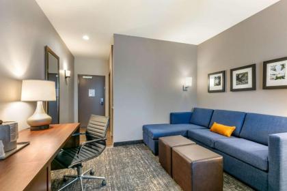 Comfort Suites - image 8