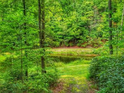 Bear Paw Ridge-Turtletown TN - image 10