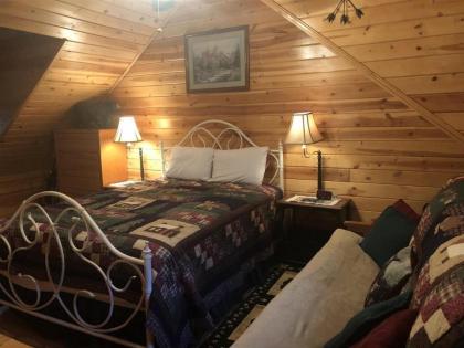 Duck`s Nest Retreat- Ocoee River Area - image 14