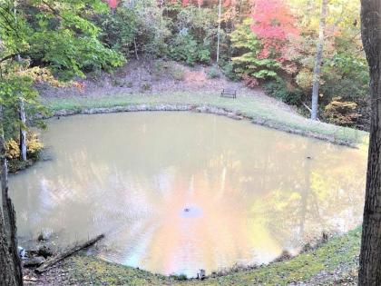 Duck`s Nest Retreat- Ocoee River Area - image 2