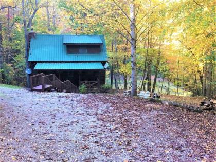 Duck`s Nest Retreat- Ocoee River Area - image 3