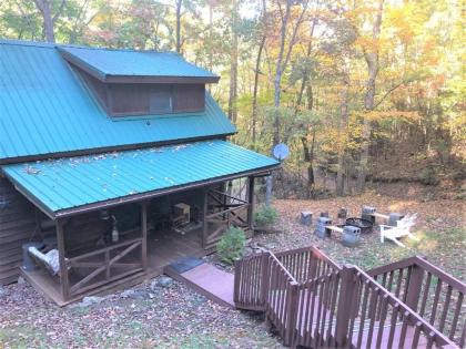 Duck`s Nest Retreat- Ocoee River Area - image 4