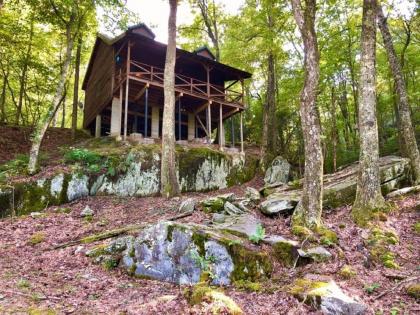 Duck`s Nest Retreat- Ocoee River Area - image 5
