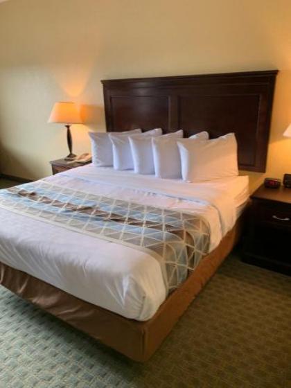 Ambassador Inn & Suites - image 3