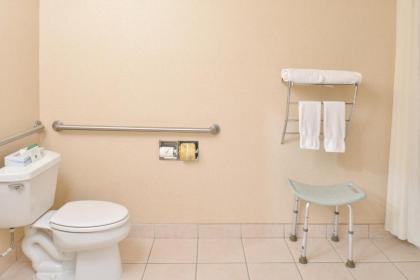 Americas Best Value Inn - Joshua Tree/Twentynine Palms - image 9