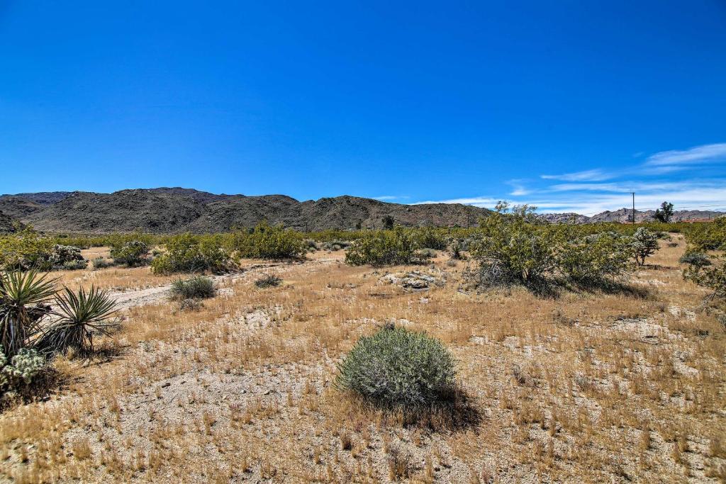 49 Palms Oasis Escape - Mins to Joshua Tree - image 2