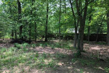 Cozy Twin Lake House about 15 Mins from Lake Michigan! - image 11