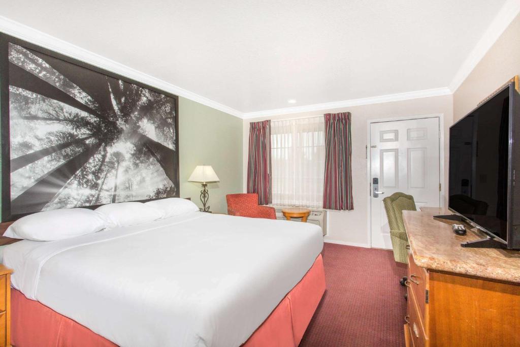 Super 8 by Wyndham Upper Lake - image 7