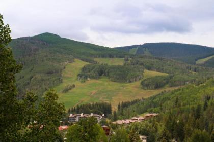 Evergreen Lodge at Vail - image 4