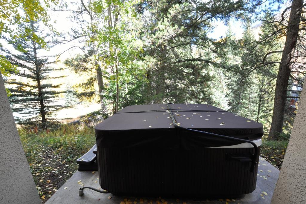 Beautiful East Vail 3 Bedroom Condo w/Hot Tub On shuttle Route. - image 2
