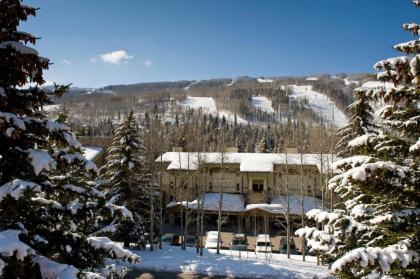 Lodge at Lionshead - image 5