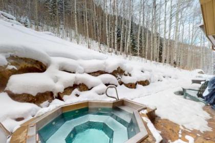 Spacious Mountain Retreat in East Vail - image 2