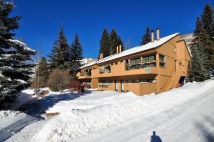 Cozy 1 Bedroom East Vail Condo #2C. Shuttle Hot Tub and Market on Site. - image 2