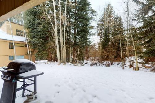 Pitkin Creek Park - image 4