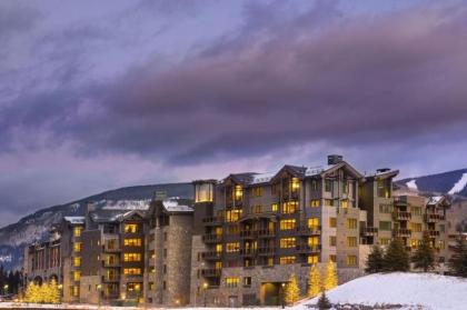 Vail Lion Studio Colorado