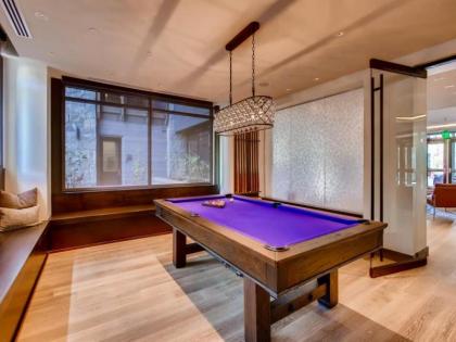 Vail Lion Studio - image 15