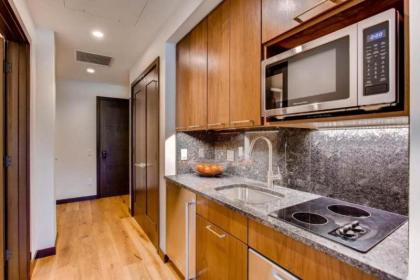 Vail Lion Studio - image 8