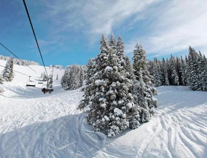Resort Style Condos with Contemporary Mountain Elegance - image 17