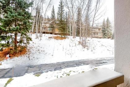 Fallridge Ski Condo - image 11