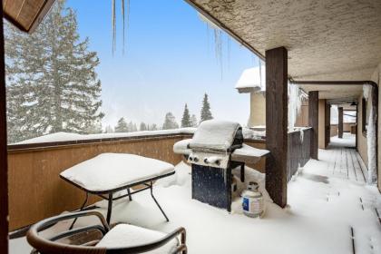 Vail Dreams - image 16