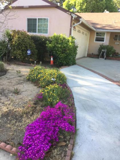 Sunshine L.A - image 15