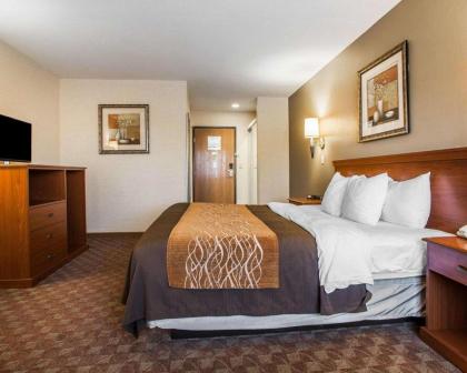 Comfort Inn Van Wert - image 5