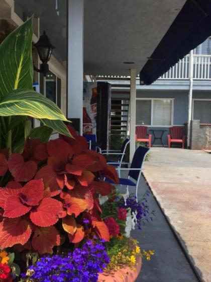 The Shores Inn - image 6