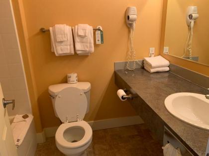 Teton Valley Motel - image 14